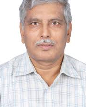 Professor Dipak Palit (Emeritus), BARC