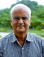 Professor Subhro Bhattacharjee